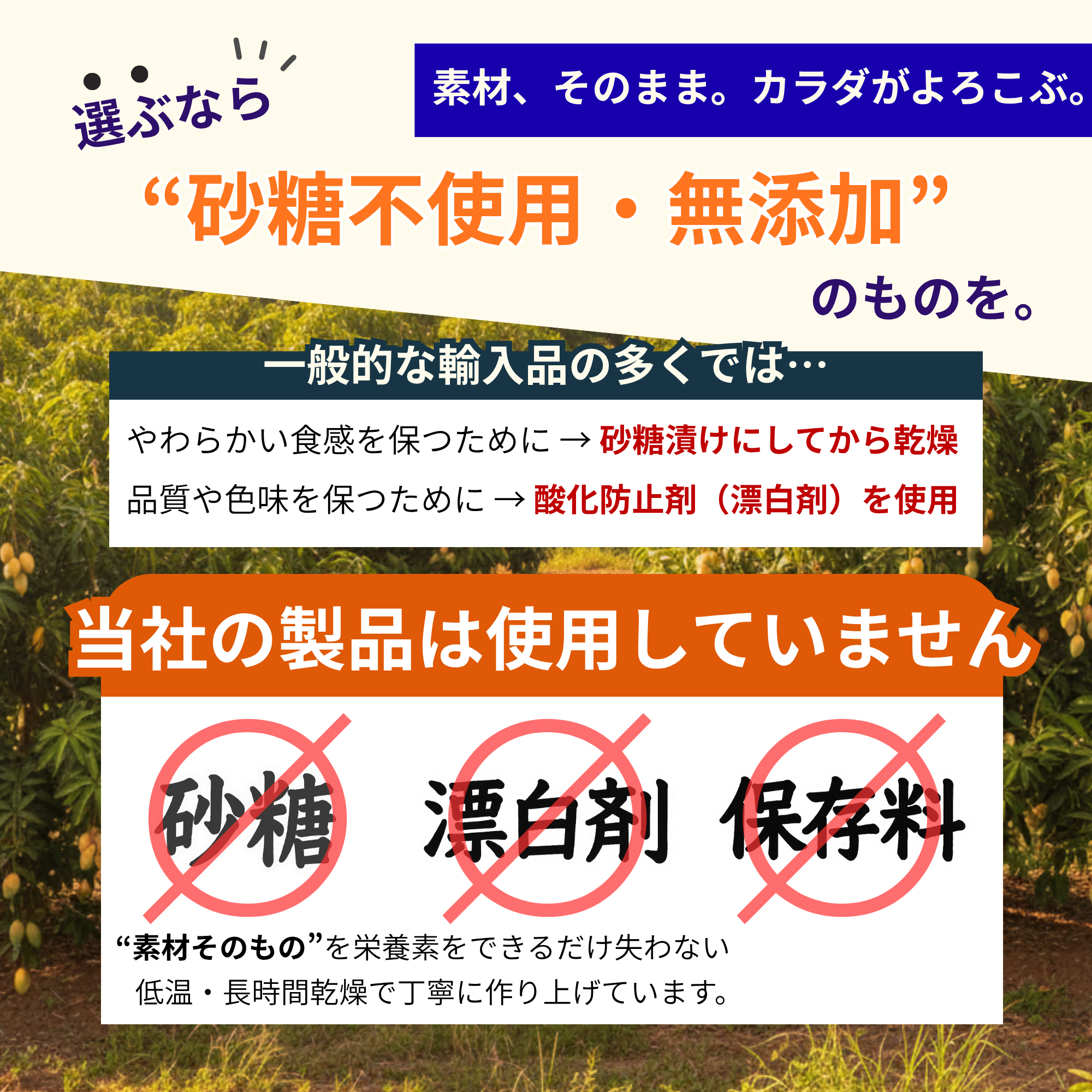 食べ方提案セクション（利用シーン）